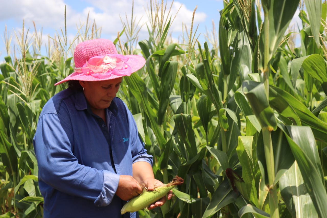 Titulación masiva de tierras busca reducir la vulnerabilidad en el campo